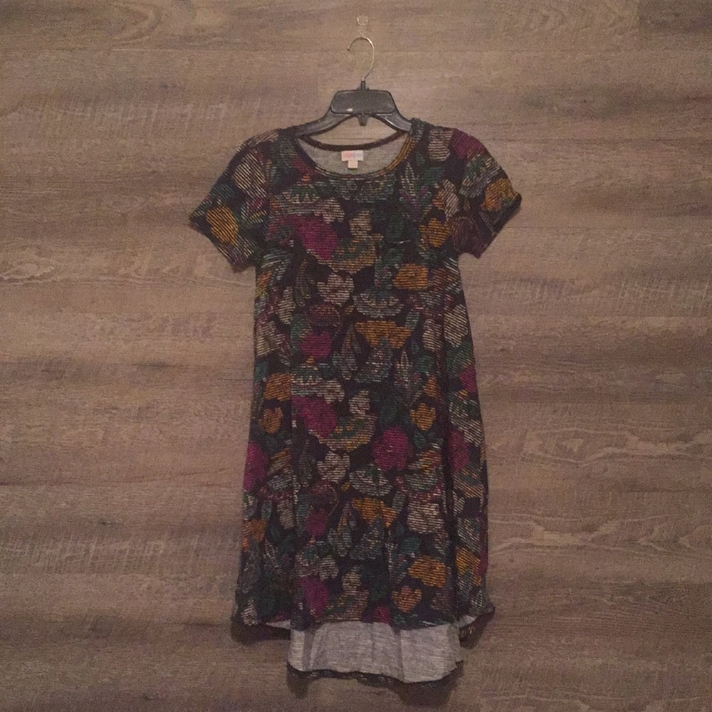 NWOT LuLaRoe Carly Dress